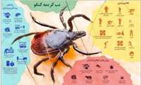 مهمترین علائم بیماری تب کریمه کنگو چیست
