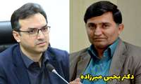 دکتر یحیی میرزاده سرپرست معاونت بهداشتی و سرپرست مرکز بهداشت استان هرمزگان شد