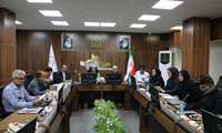 نخستین جلسه کمیسیون دائمی هیأت امناء دانشگاه در سال 1403 برگزار شد
