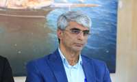 پشه آئدس تنها ناقل بیماری تب دنگی است
