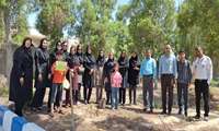  آئین کاشت نهال در شبکه بهداشت‌ درمان و آموزش شهرستان بندرلنگه