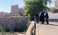 مقابله با پشه آئدس تنها با انجام اقدامات مؤثر و مسئولانه محقق خواهد شد