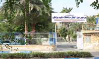 پردیس بین الملل علوم پزشکی هرمزگان افتتاح می‌شود