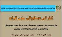کنفرانس دیسکوپاتی ستون فقرات
