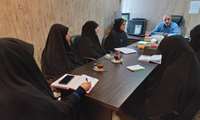 فرزندآوری، تقویت بنیان اصلی پایداری اجتماعی و فرهنگی کشور