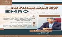  حضور در کارگاه آموزشی نحوه گرنت از EMRO