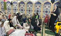 آینده جامعه در گرو توجه به جوانی جمعیت است 