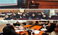 رضانیا: پیشگیری از مصرف دخانیات، گامی مؤثر در سلامت کارکنان و جامعه