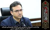پیام تسلیت دکتر پژمان شاهرخی رئیس دانشگاه علوم پزشکی هرمزگان به مناسبت تاسوعا و عاشورای حسینی