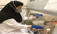 آمادگی کامل تیم سلامت و آزمایشگاه مرکز بهداشت کیش برای تداوم خدمت‌رسانی 
