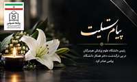 در برابر داغ فرزند، واژه‌ها ناتوان‌اند؛ خانواده بزرگ دانشگاه در کنار همکار سوگوار خود ایستاده است