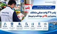 پلمب ۳۷ واحد صنفی متخلف و معدوم‌سازی بیش از ۲۵ تن مواد غذایی غیرمجاز در بندرعباس