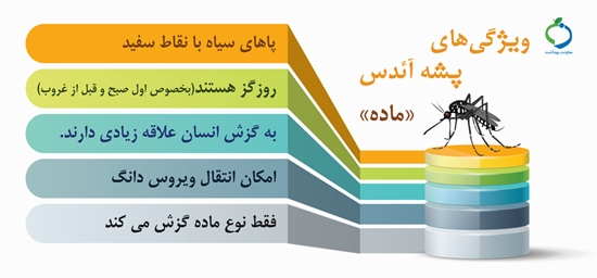 ویژگی های  پشه آئدس  